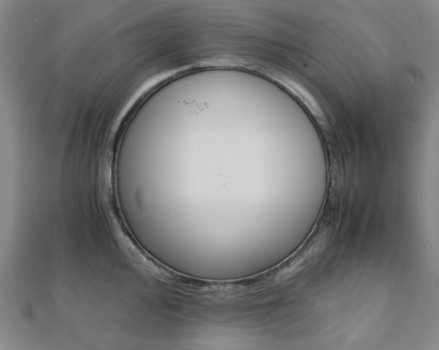 X0000112051000200908040946