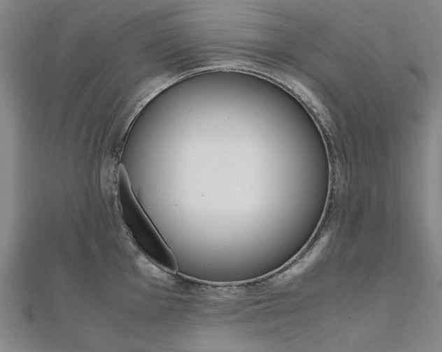 X0000112051001200908040946