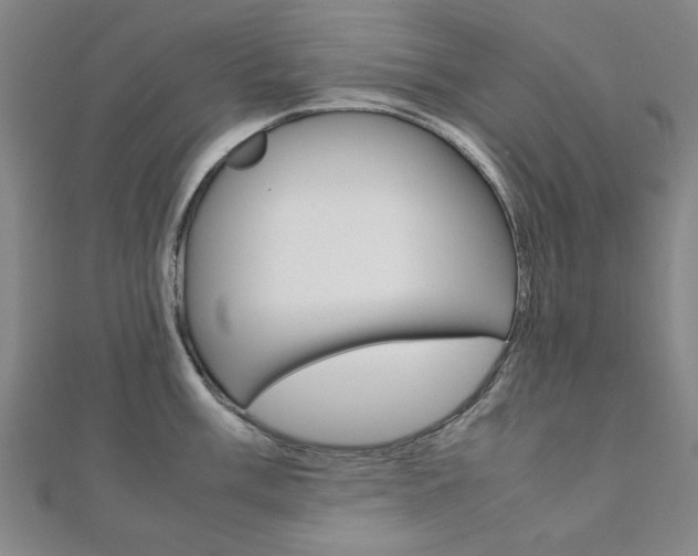 X0000112051003200908040946