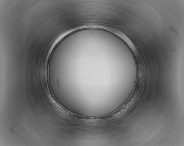 X0000112051004200908040946