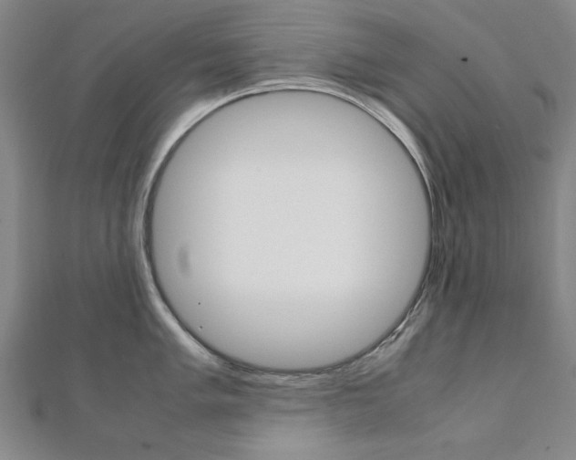 X0000112051005200908040946