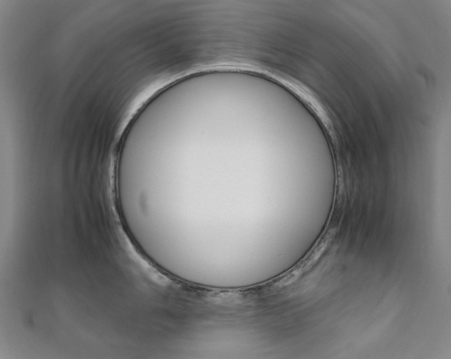 X0000112051006200908040946