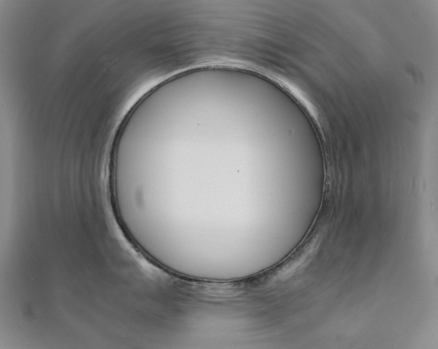 X0000112051007200908040946