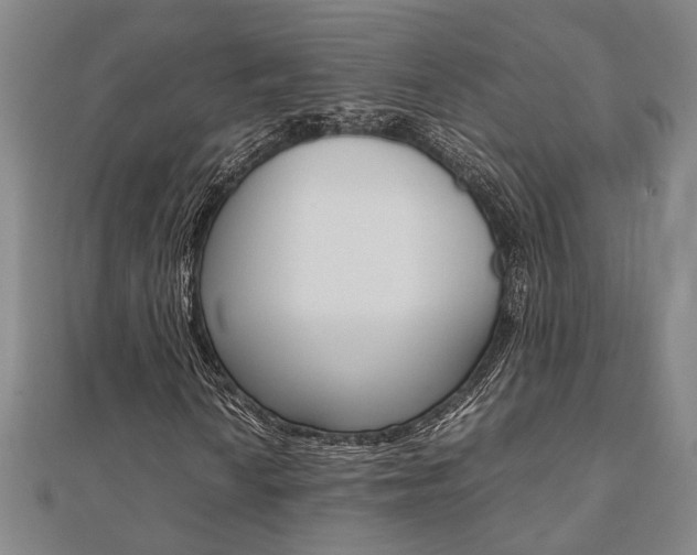 X0000112051010200908040945