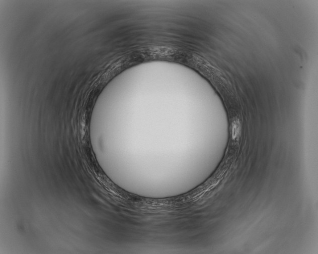 X0000112051011200908040945