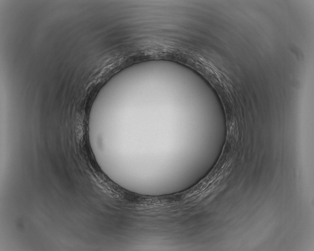 X0000112051012200908040945