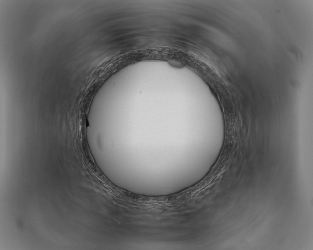 X0000112051013200908040945