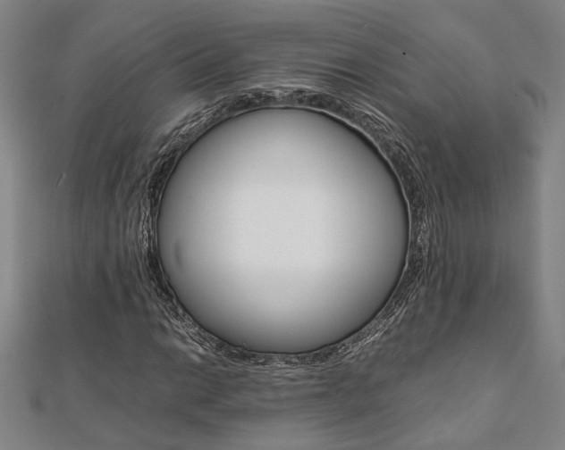 X0000112051014200908040945