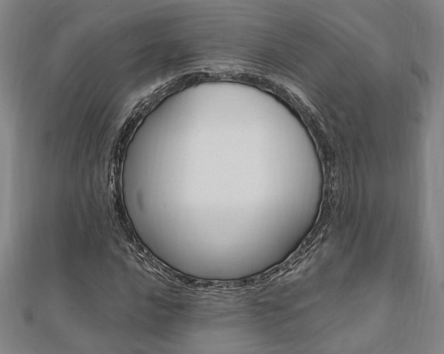 X0000112051016200908040945