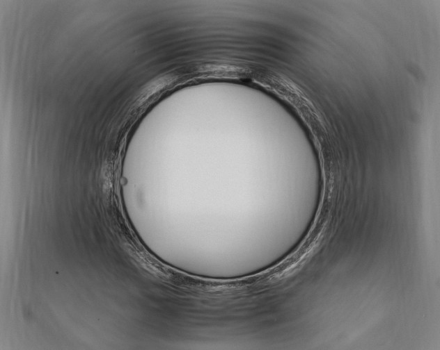 X0000112051017200908040945