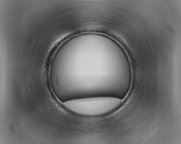 X0000112051018200908040945