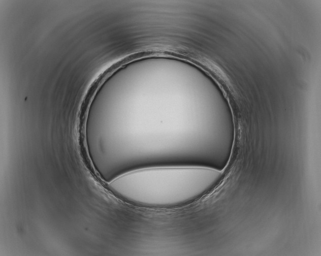 X0000112051020200908040945