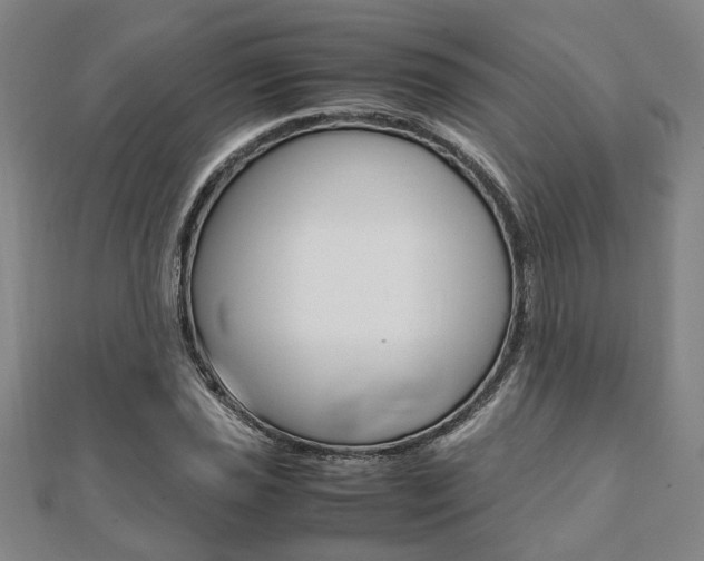 X0000112051021200908040945