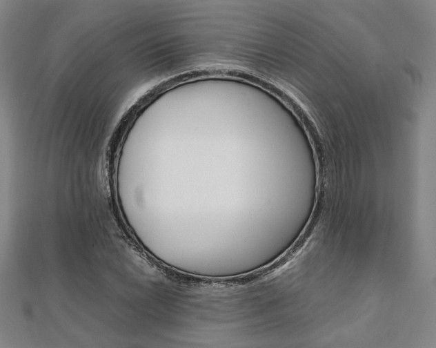 X0000112051022200908040945
