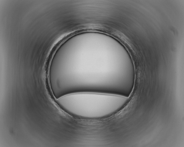 X0000112051024200908040945