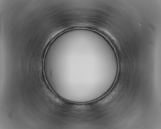 X0000112051025200908040945