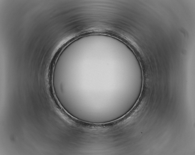 X0000112051026200908040945