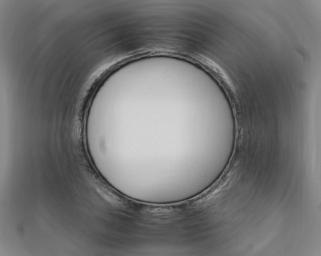 X0000112051027200908040945