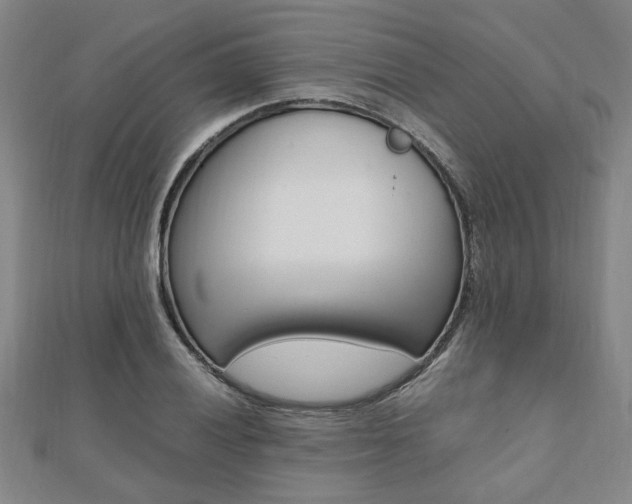 X0000112051028200908040945