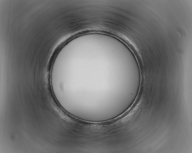 X0000112051029200908040945