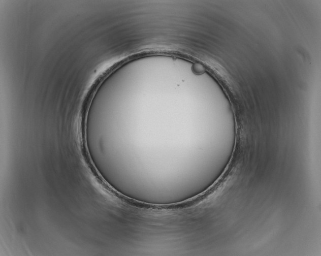 X0000112051030200908040945