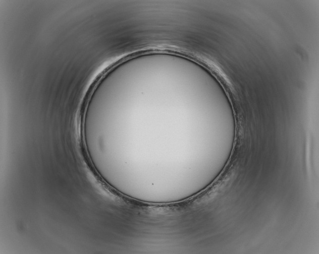 X0000112051032200908040945