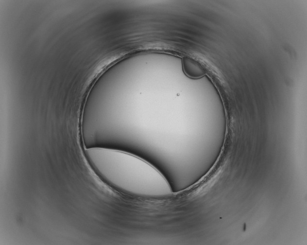 X0000112051033200908040945