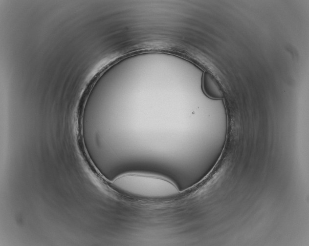 X0000112051034200908040945