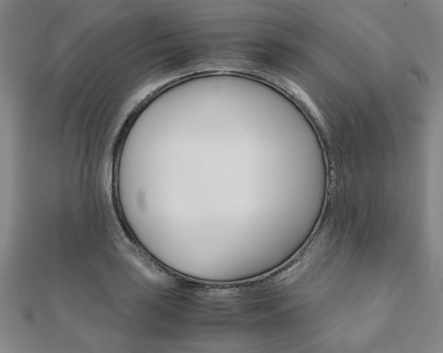 X0000112051035200908040945