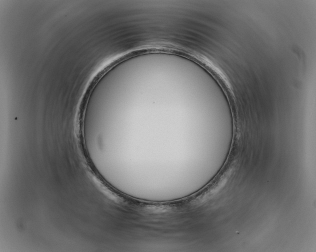 X0000112051037200908040945