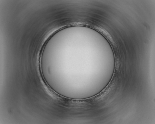 X0000112051039200908040946