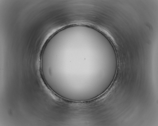 X0000112051040200908040946