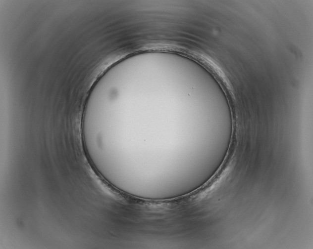X0000112051041200908040946