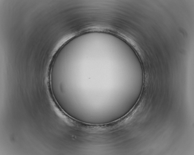X0000112051042200908040946