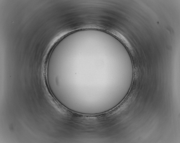 X0000112051043200908040946
