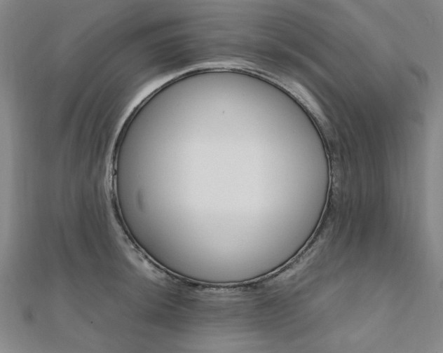 X0000112051044200908040946