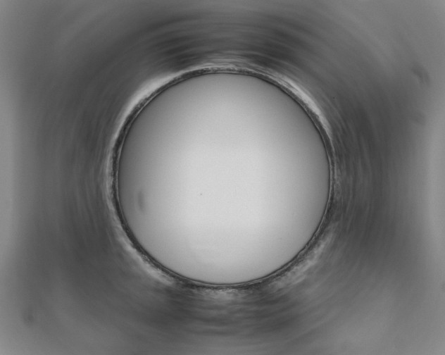 X0000112051045200908040946