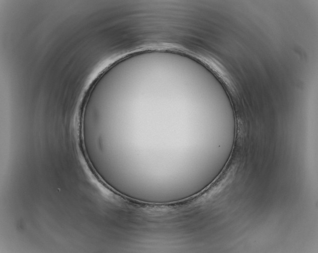 X0000112051046200908040946