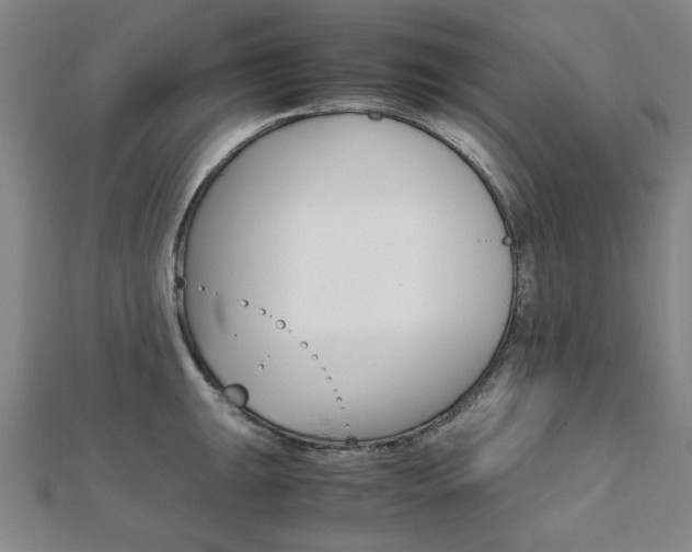 X0000112051047200908040946