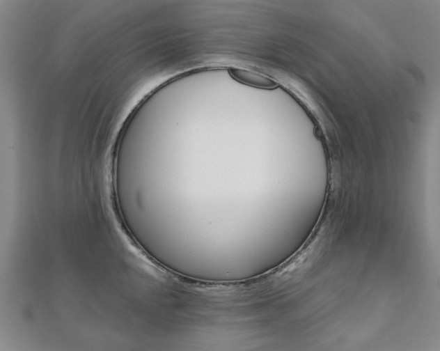 X0000112051048200908040946