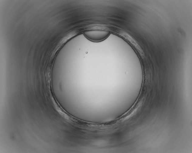 X0000112051049200908040946