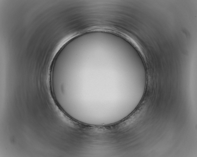 X0000112051050200908040946