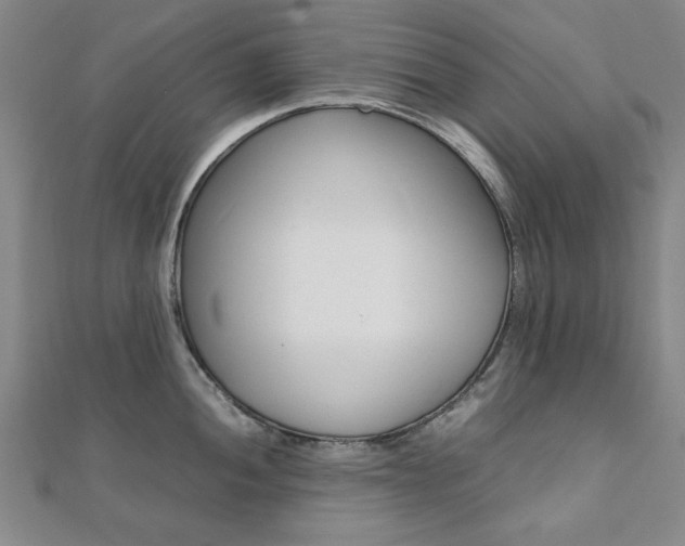 X0000112051052200908040946