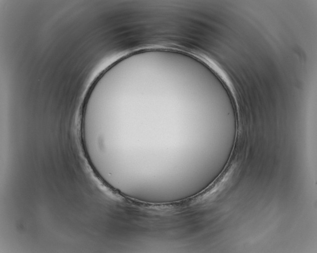 X0000112051053200908040946