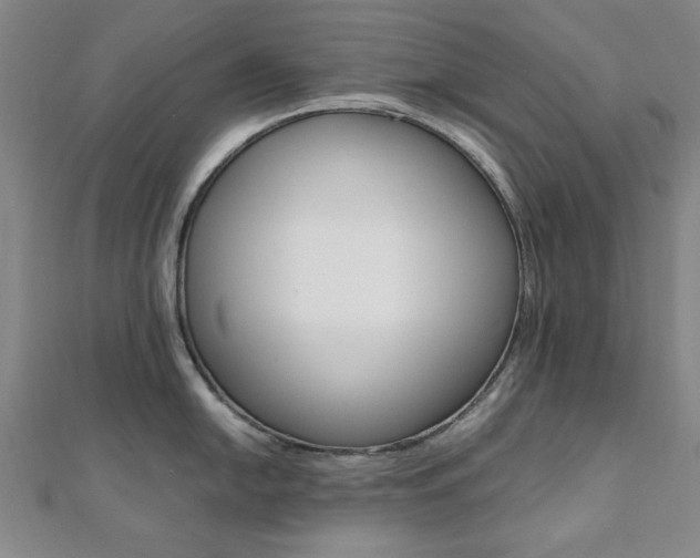 X0000112051054200908040946