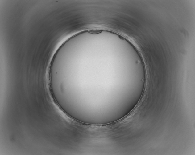 X0000112051056200908040946