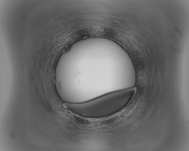 X0000112051057200908040945