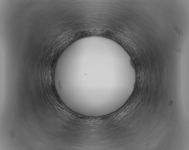 X0000112051058200908040945