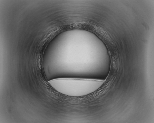 X0000112051060200908040945