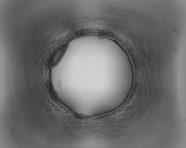 X0000112051061200908040945
